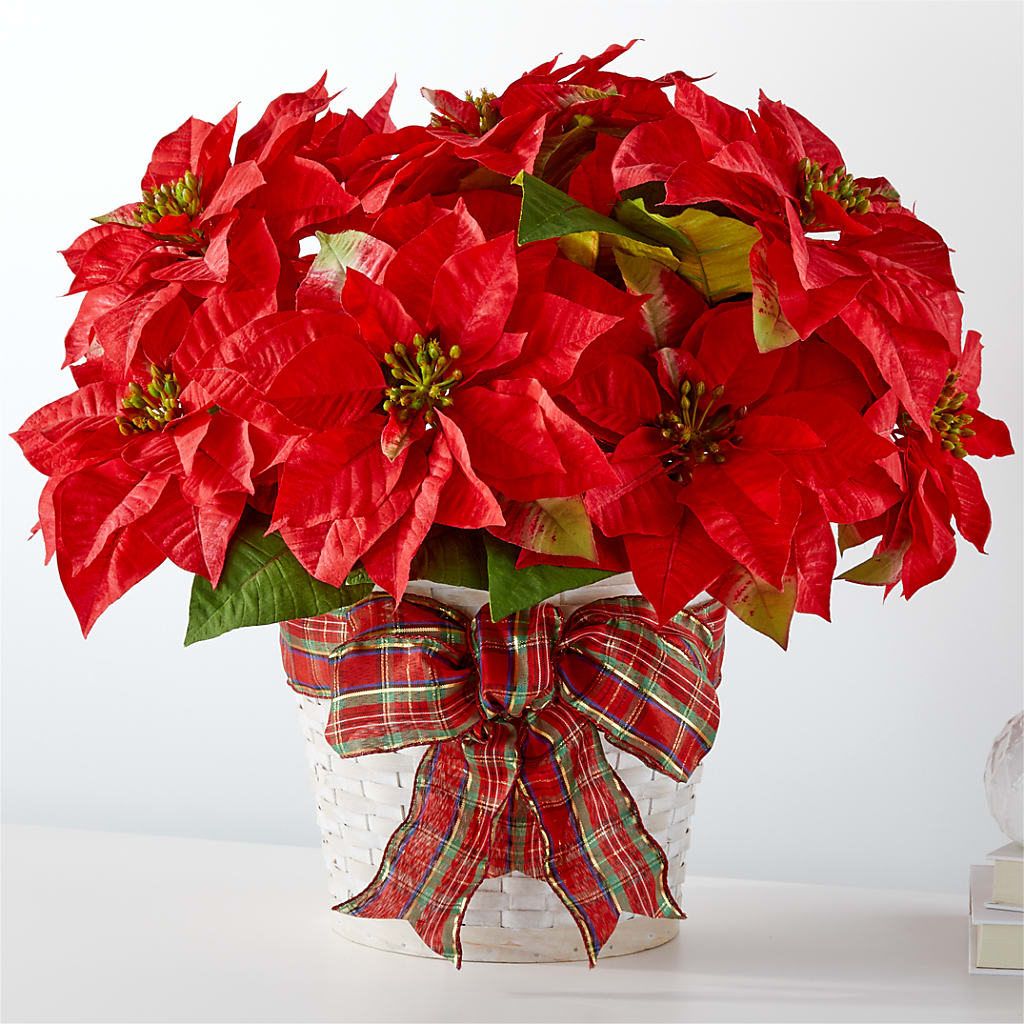 Happiest Holidays Poinsettia – Nacogdoches Floral Company, Nacogdoches TX
