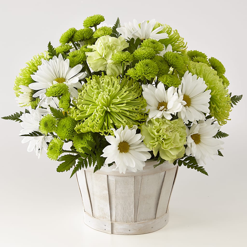 Lucky Charm Basket (Standard) – Nacogdoches Floral Company, Nacogdoches TX