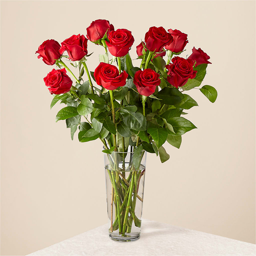 Long Stem Red Rose Bouquet – Nacogdoches Floral Company, Nacogdoches TX