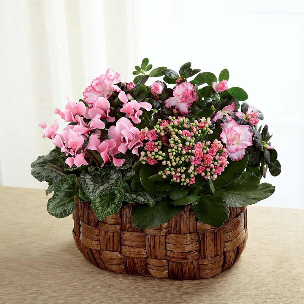 Pink Assortment – Nacogdoches Floral Company, Nacogdoches TX