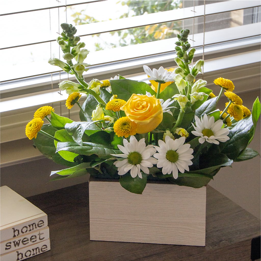 Sun Salutation Box Bouquet – Nacogdoches Floral Company, Nacogdoches TX