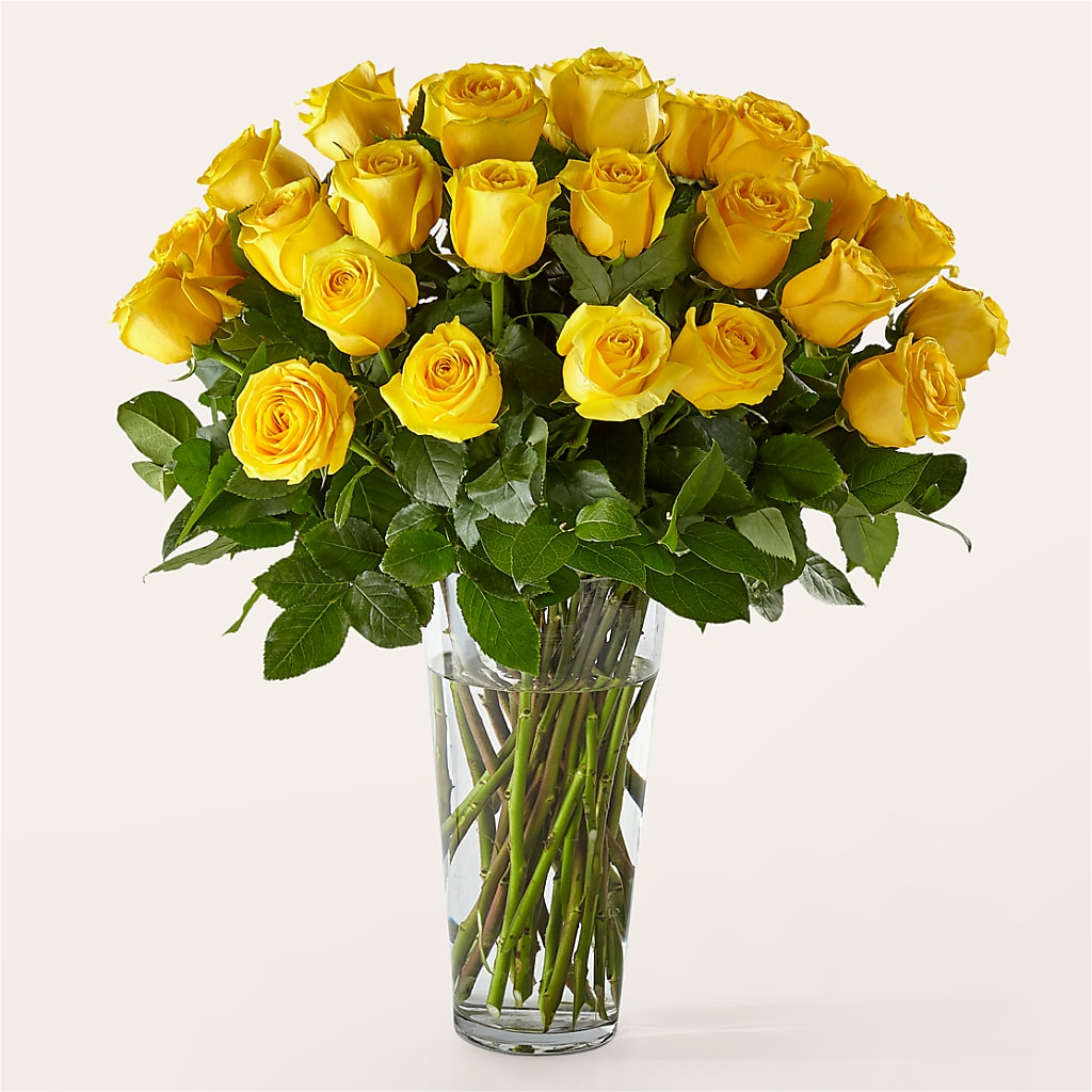 Long Stem Yellow Rose Bouquet – Nacogdoches Floral Company, Nacogdoches TX