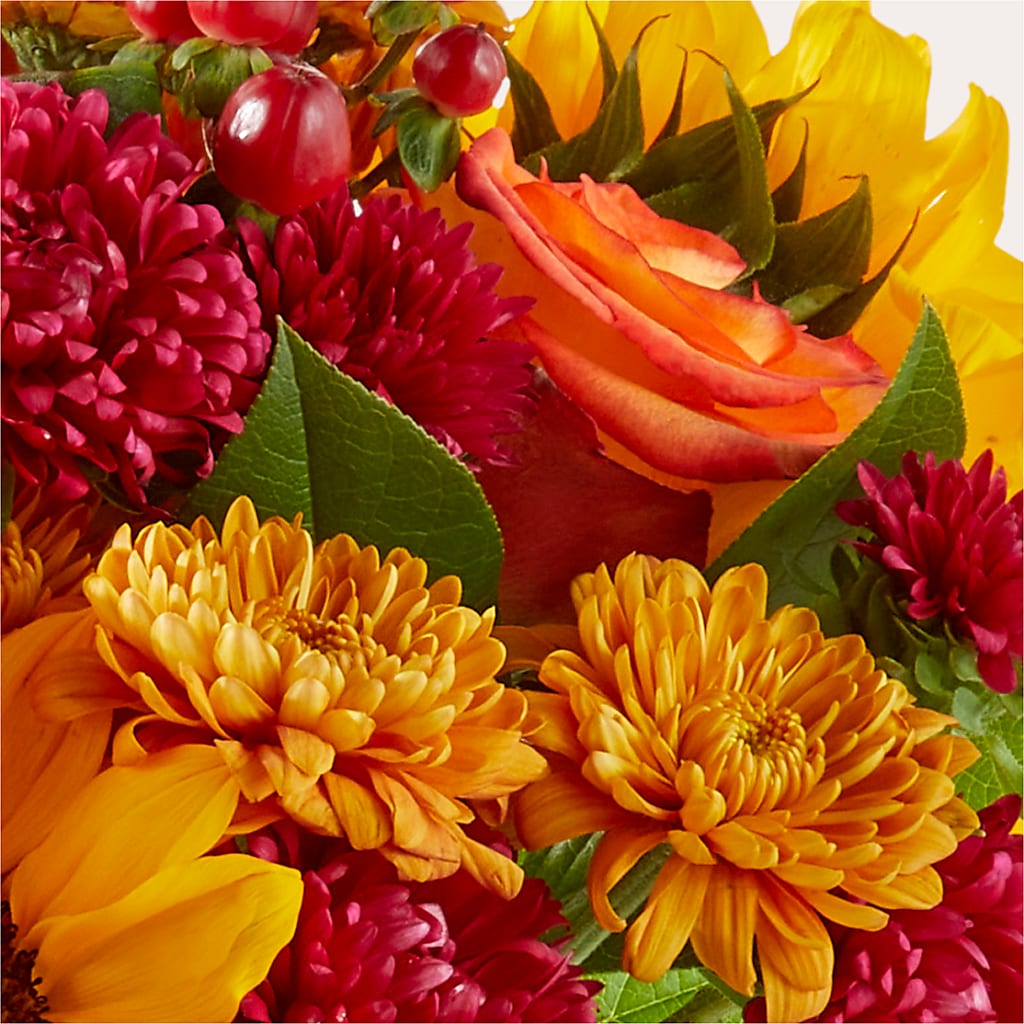 Sweater Season - A Florist Original – Nacogdoches Floral Company, Nacogdoches TX