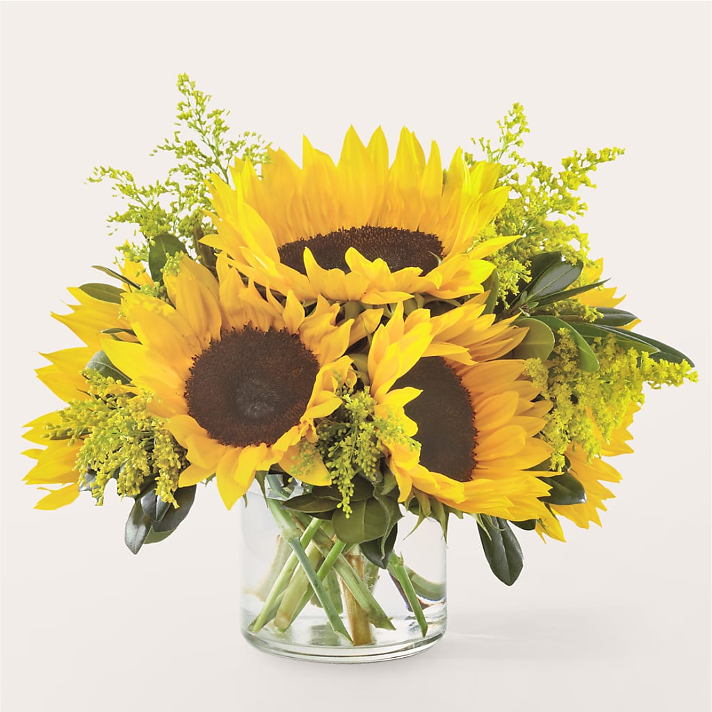 Beaming Sunflower Bouquet – Nacogdoches Floral Company, Nacogdoches TX