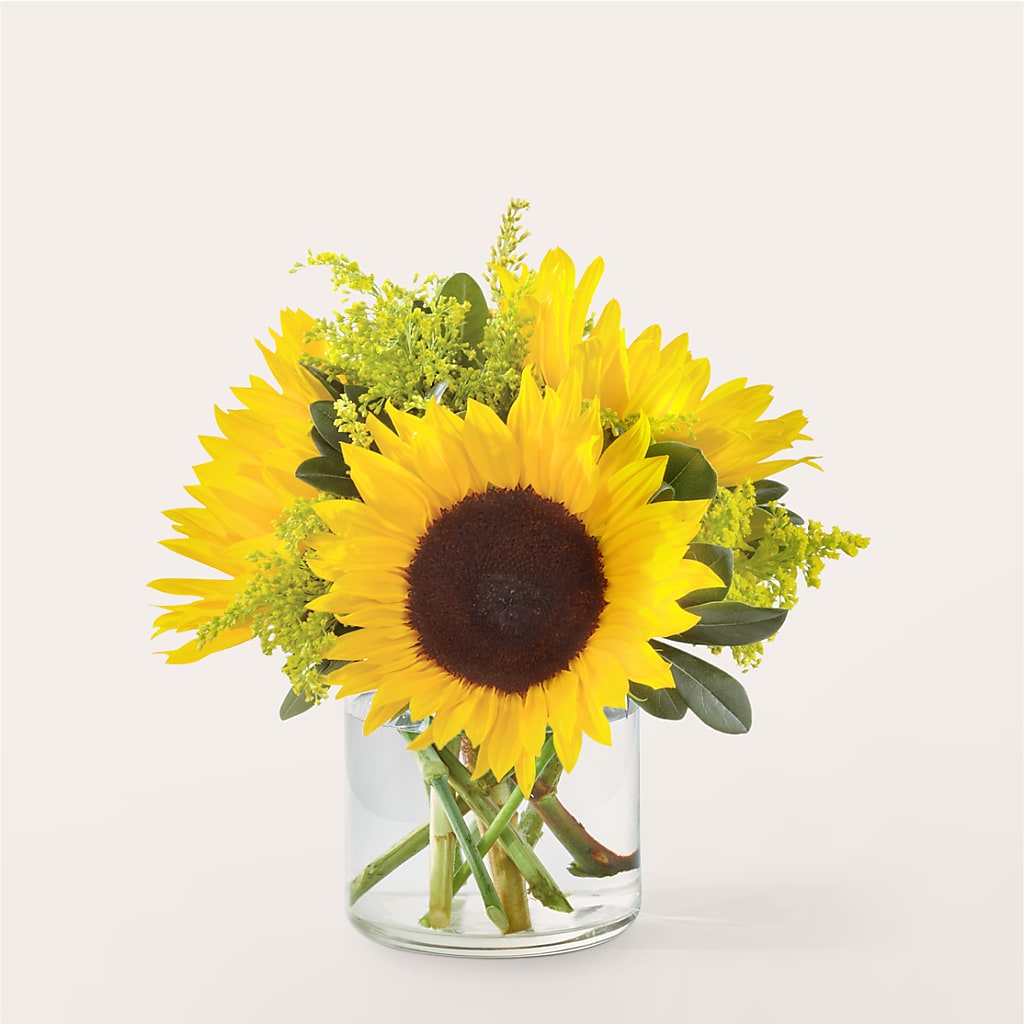 Beaming Sunflower Bouquet – Nacogdoches Floral Company, Nacogdoches TX