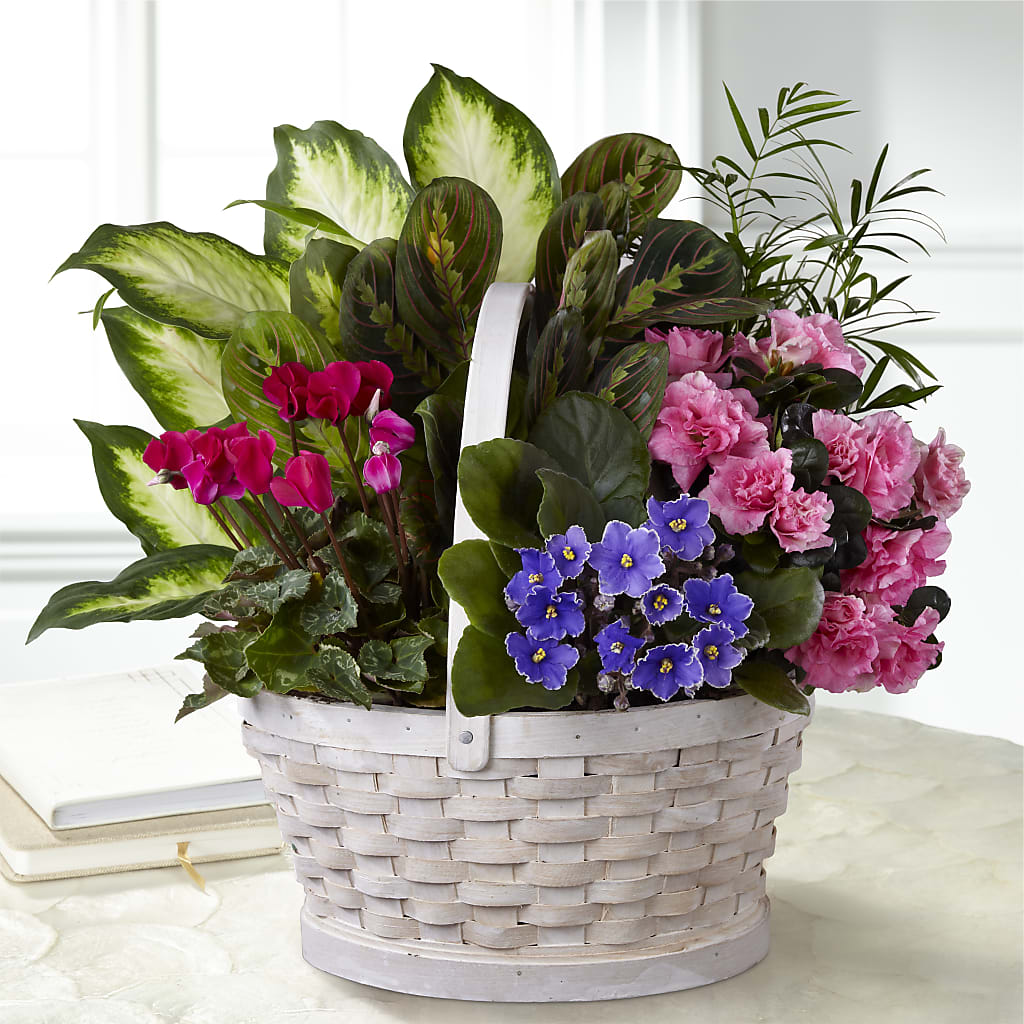 Peaceful Garden Planter – Nacogdoches Floral Company, Nacogdoches TX