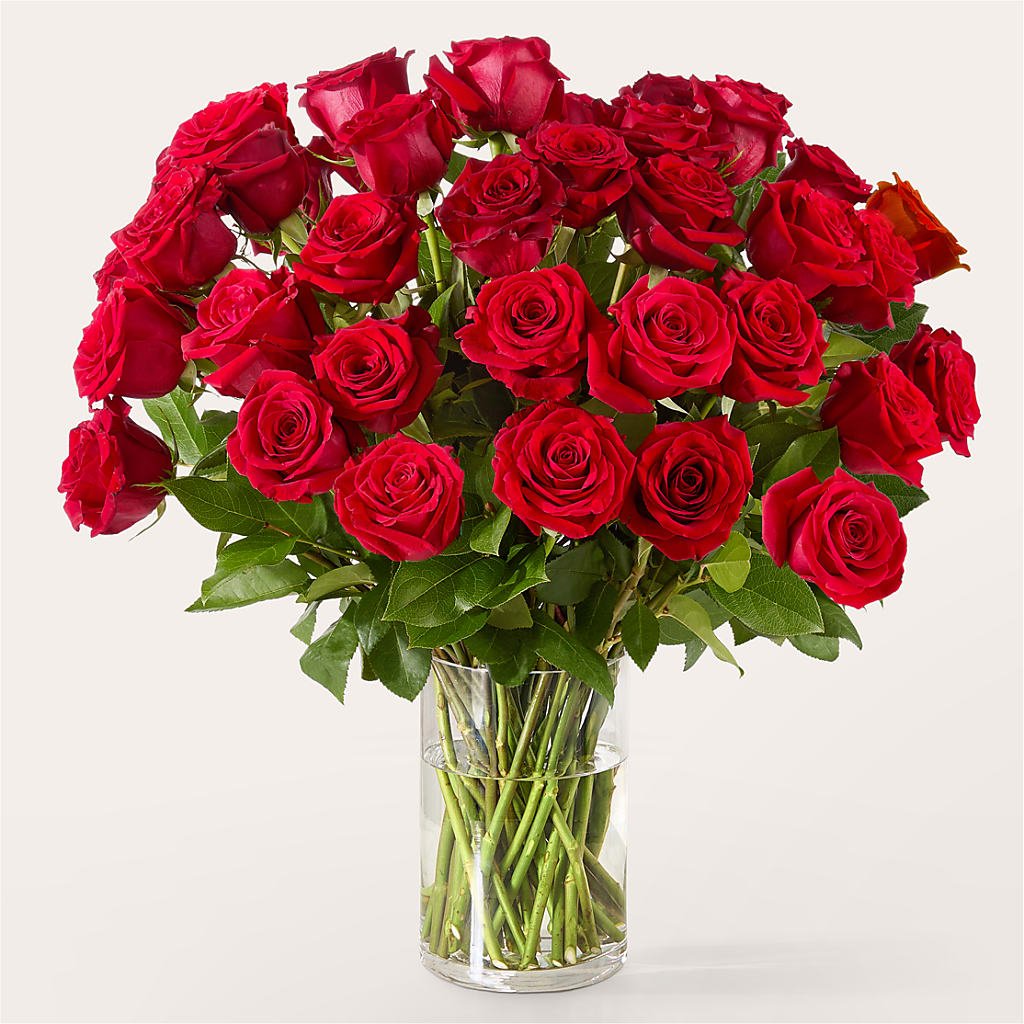 The One Red Rose Bouquet – Nacogdoches Floral Company, Nacogdoches TX