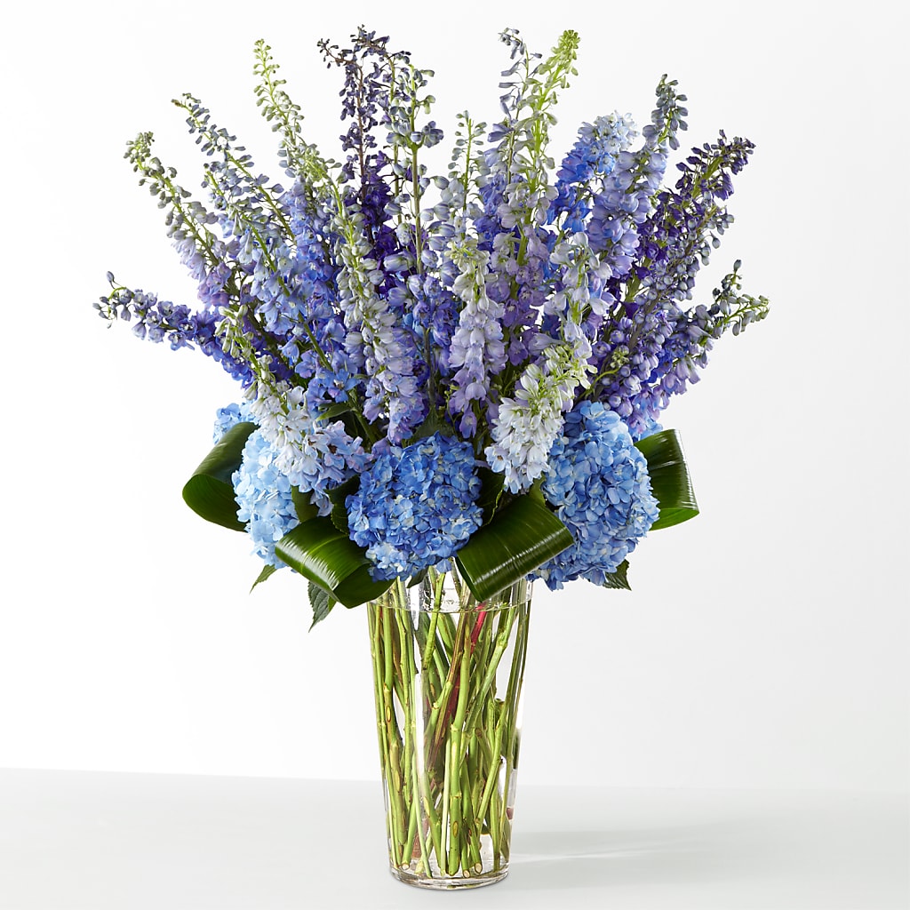 The Editorial – Nacogdoches Floral Company, Nacogdoches TX