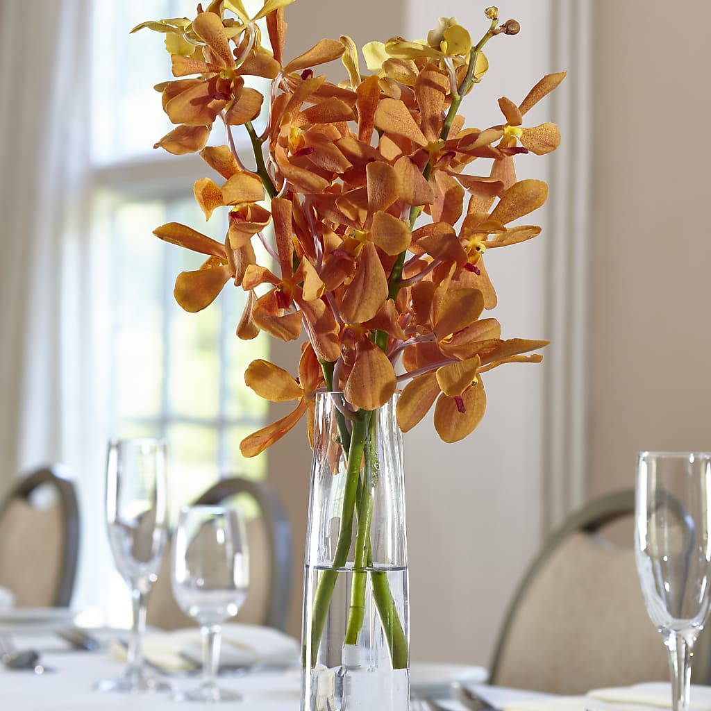 Orange Mokara Bud Vase – Nacogdoches Floral Company, Nacogdoches TX