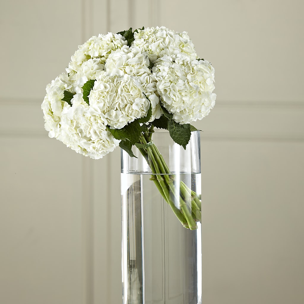 White Hydrangea Hand-Tied Bouquet – Nacogdoches Floral Company, Nacogdoches TX