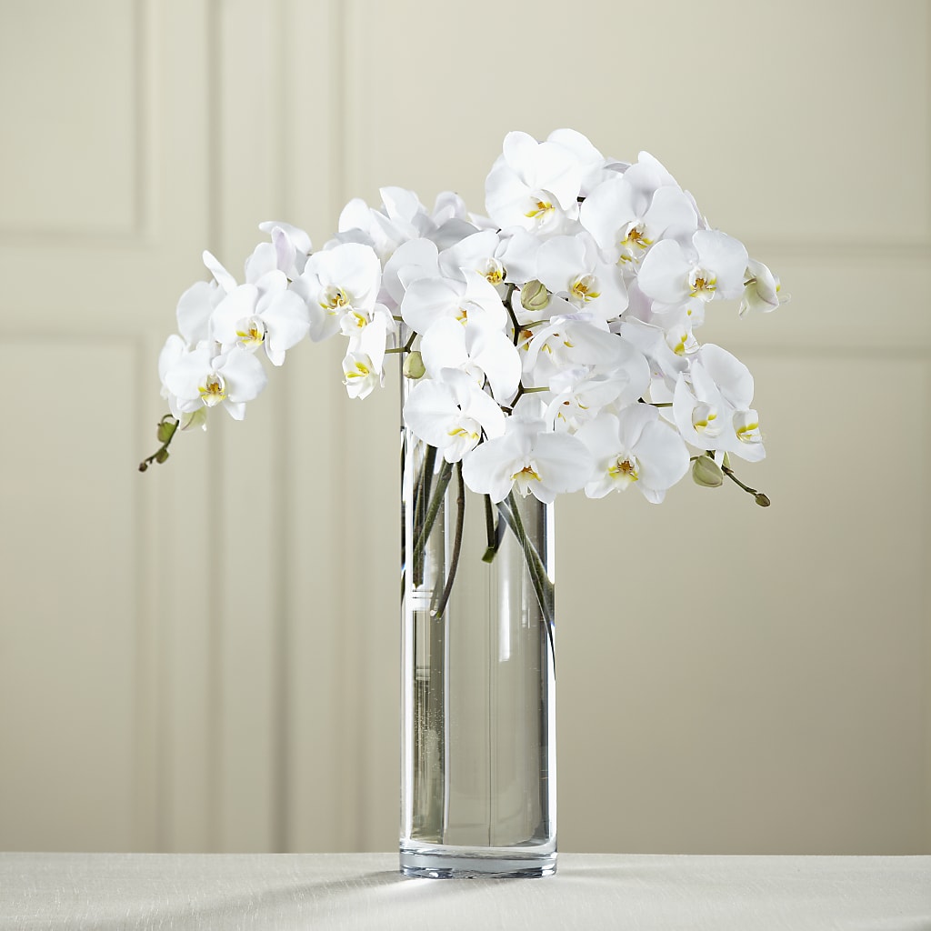 White Phalaenopsis Bouquet – Nacogdoches Floral Company, Nacogdoches TX