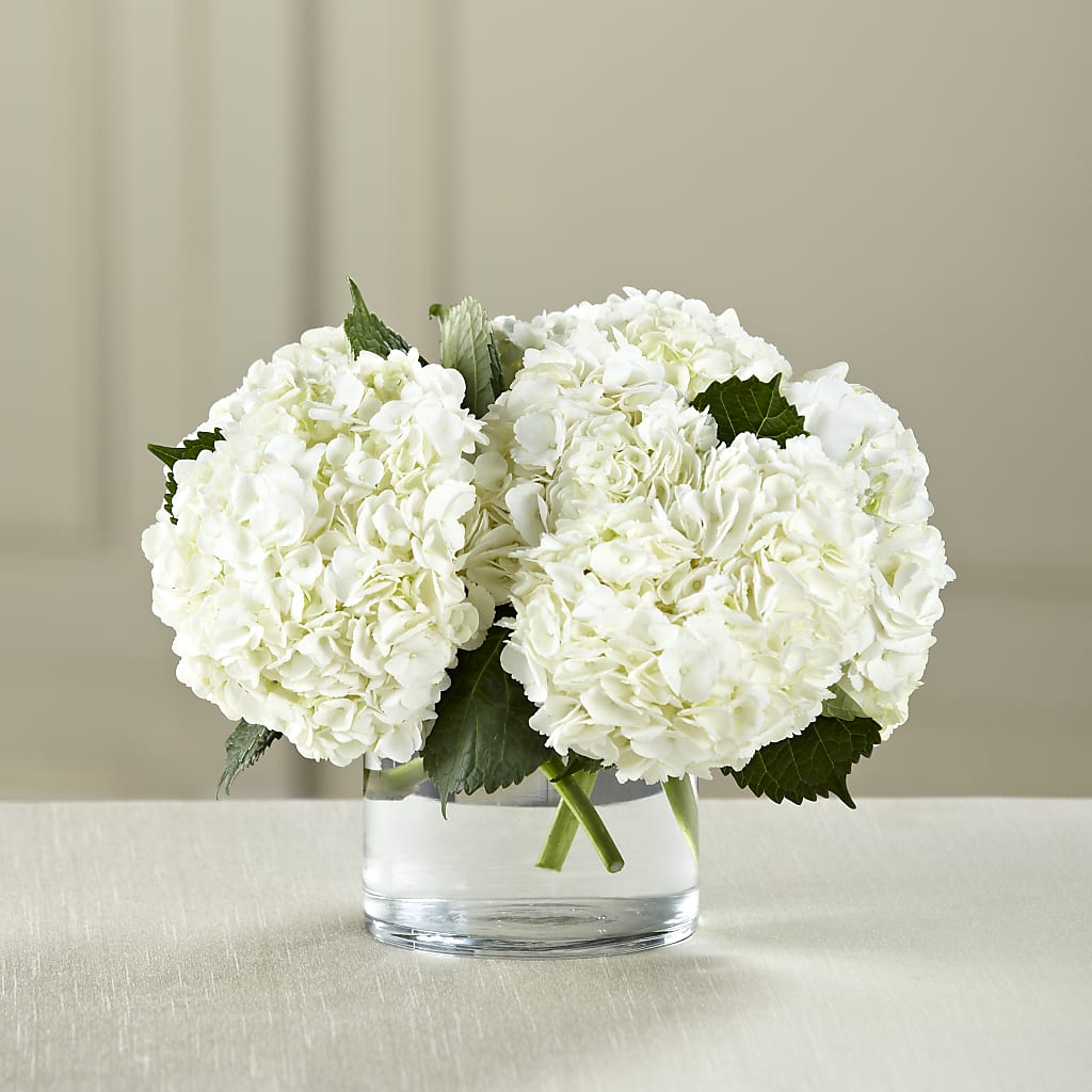 White Hydrangea Bouquet – Nacogdoches Floral Company, Nacogdoches TX