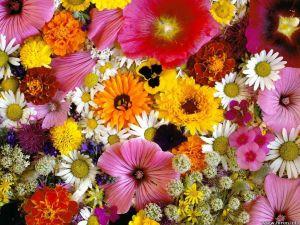 Medium Florist Designed Bouquet –  Nacogdoches Floral Company, Nacogdoches TX