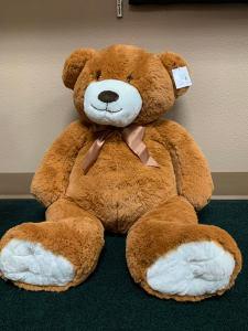 Large Teddy Bear –  Nacogdoches Floral Company, Nacogdoches TX