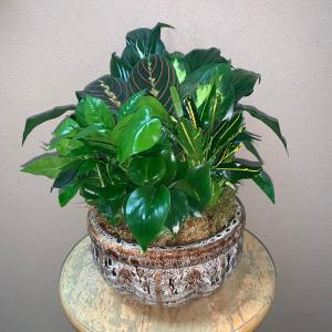Small Ceramic Garden –  Nacogdoches Floral Company, Nacogdoches TX