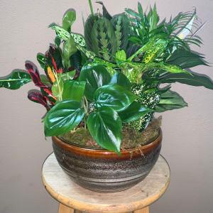 Medium Ceramic Garden –  Nacogdoches Floral Company, Nacogdoches TX