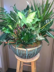Large Ceramic Garden –  Nacogdoches Floral Company, Nacogdoches TX