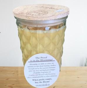 Roasted Pumpkin Seeds –  Nacogdoches Floral Company, Nacogdoches TX