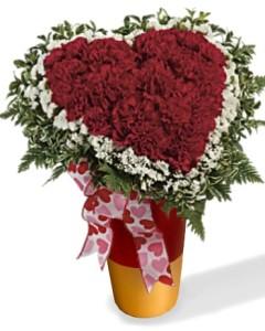 My Heart is Yours carnations –  Nacogdoches Floral Company, Nacogdoches TX