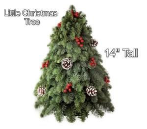 Little Christmas Tree –  Nacogdoches Floral Company, Nacogdoches TX