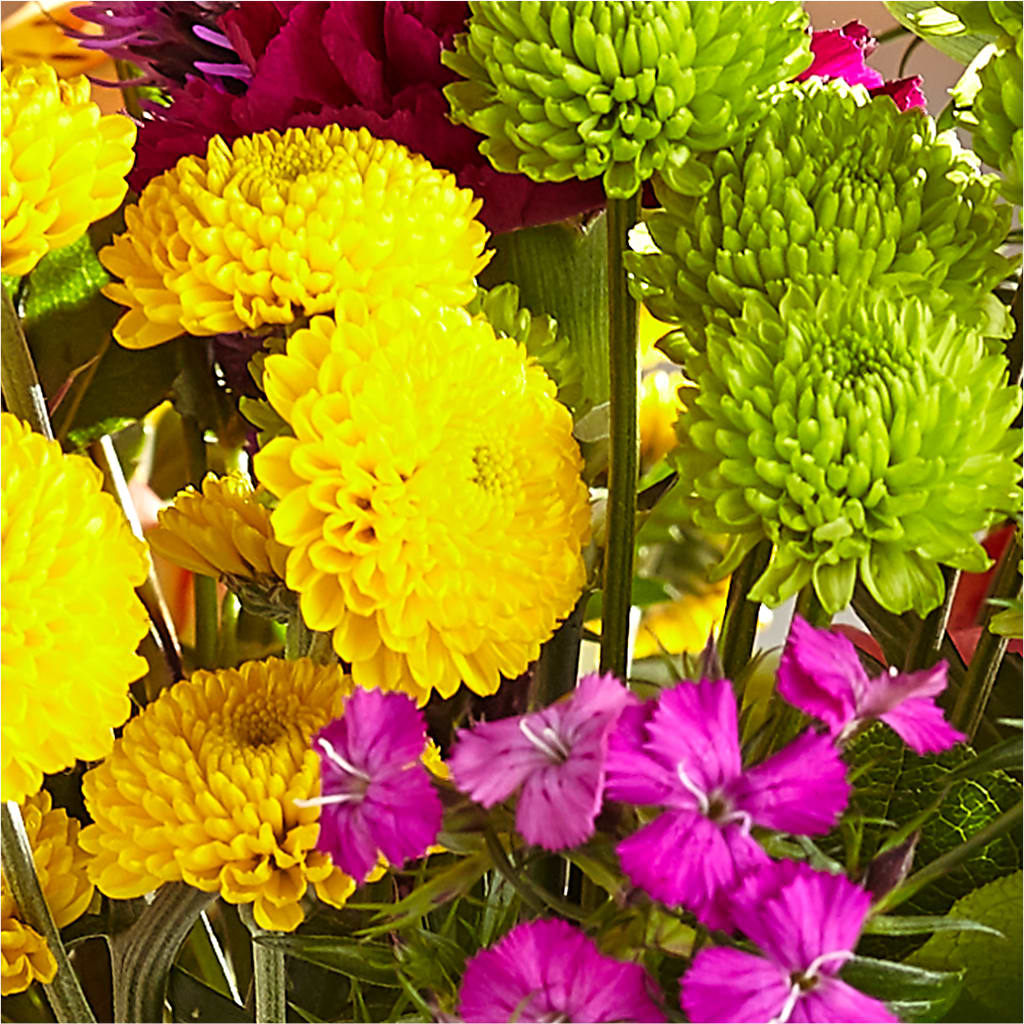 Bold & Bright – A Florist Original –  Nacogdoches Floral Company, Nacogdoches TX