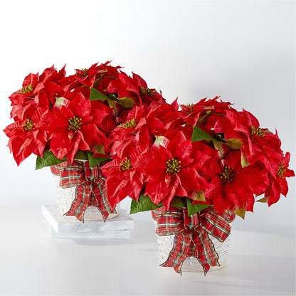 Happiest Holidays Poinsettia Bundle –  Nacogdoches Floral Company, Nacogdoches TX