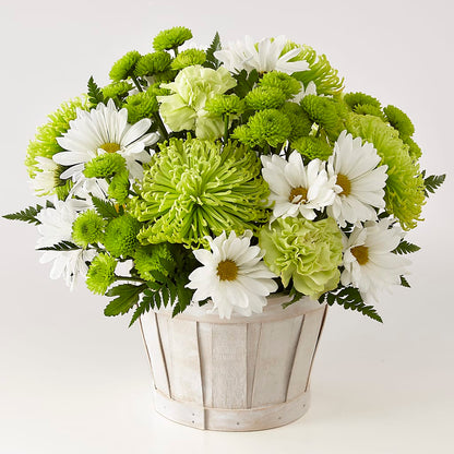 Lucky Charm Basket (Standard) –  Nacogdoches Floral Company, Nacogdoches TX