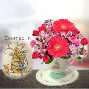Peter Rabbit TeacupSaucer –  Nacogdoches Floral Company, Nacogdoches TX