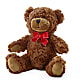 Adorable Plush Bear –  Nacogdoches Floral Company, Nacogdoches TX