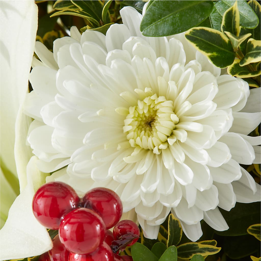 Festive Moments Tree –  Nacogdoches Floral Company, Nacogdoches TX