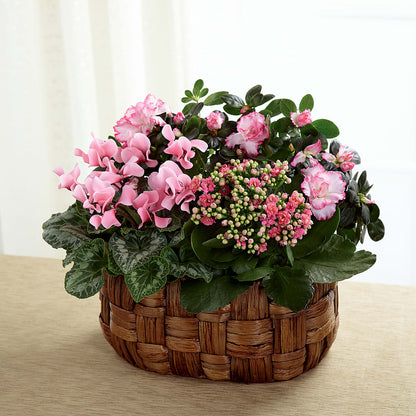 Pink Assortment –  Nacogdoches Floral Company, Nacogdoches TX