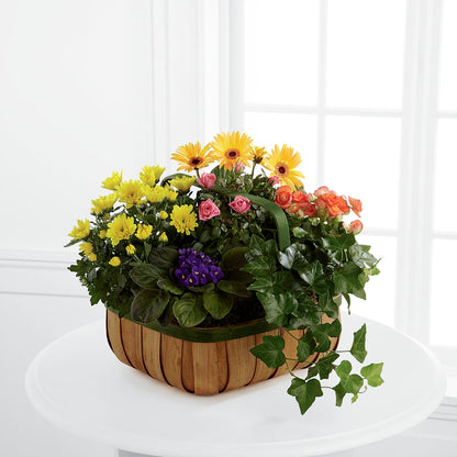 Gentle Blossoms Basket –  Nacogdoches Floral Company, Nacogdoches TX