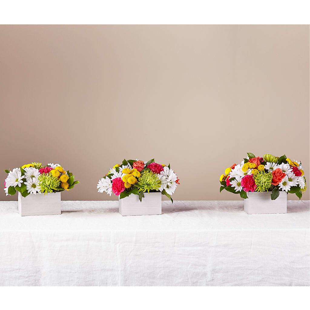 Sorbet Bouquet –  Nacogdoches Floral Company, Nacogdoches TX