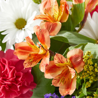 Oopsie Daisy Box Bouquet –  Nacogdoches Floral Company, Nacogdoches TX