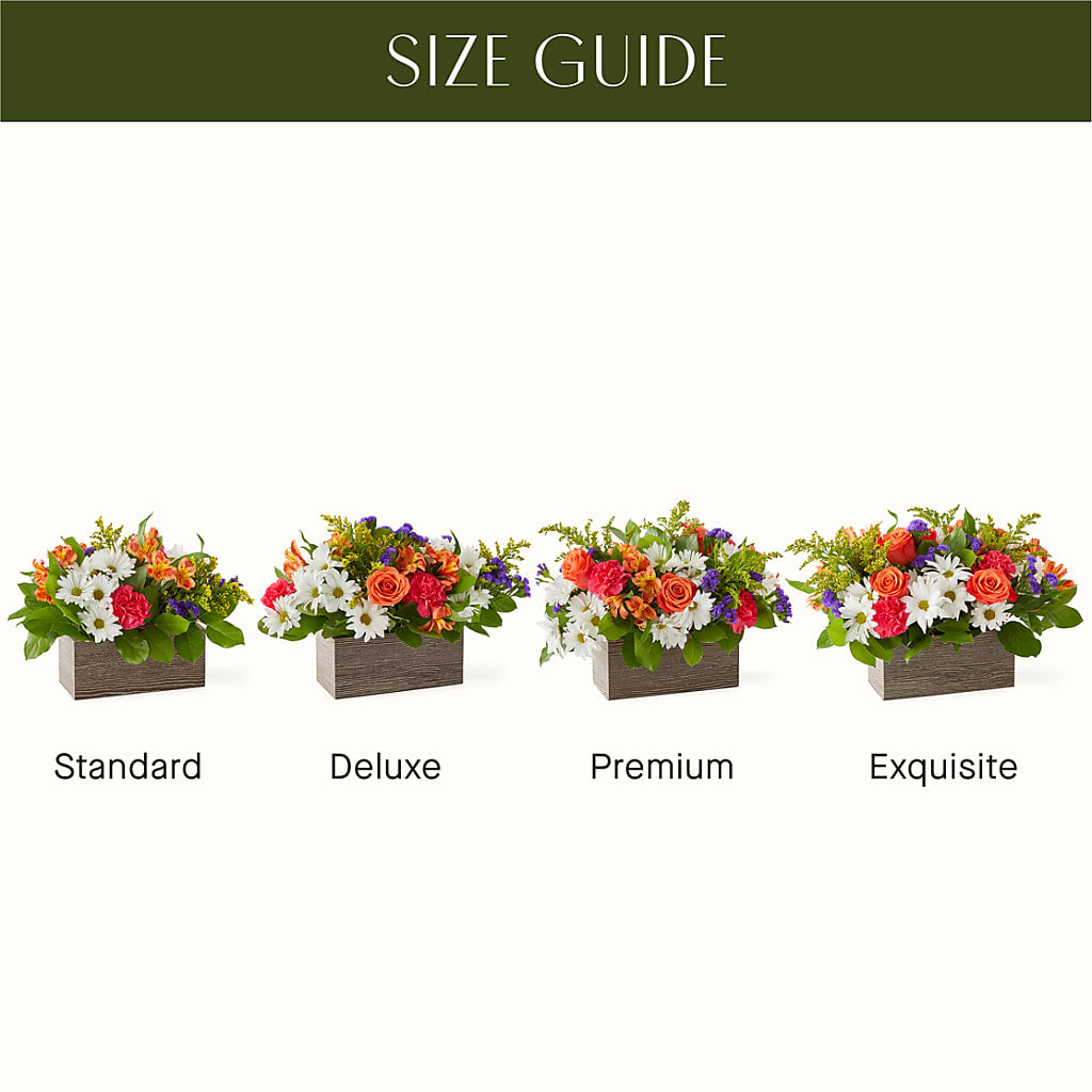 Oopsie Daisy Box Bouquet –  Nacogdoches Floral Company, Nacogdoches TX