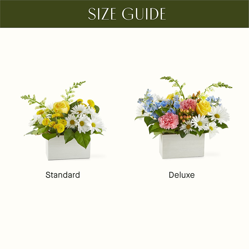 Sun Salutation Box Bouquet –  Nacogdoches Floral Company, Nacogdoches TX