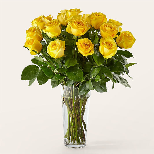 Long Stem Yellow Rose Bouquet –  Nacogdoches Floral Company, Nacogdoches TX