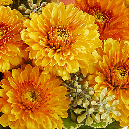 Peachy Pumpkin –  Nacogdoches Floral Company, Nacogdoches TX