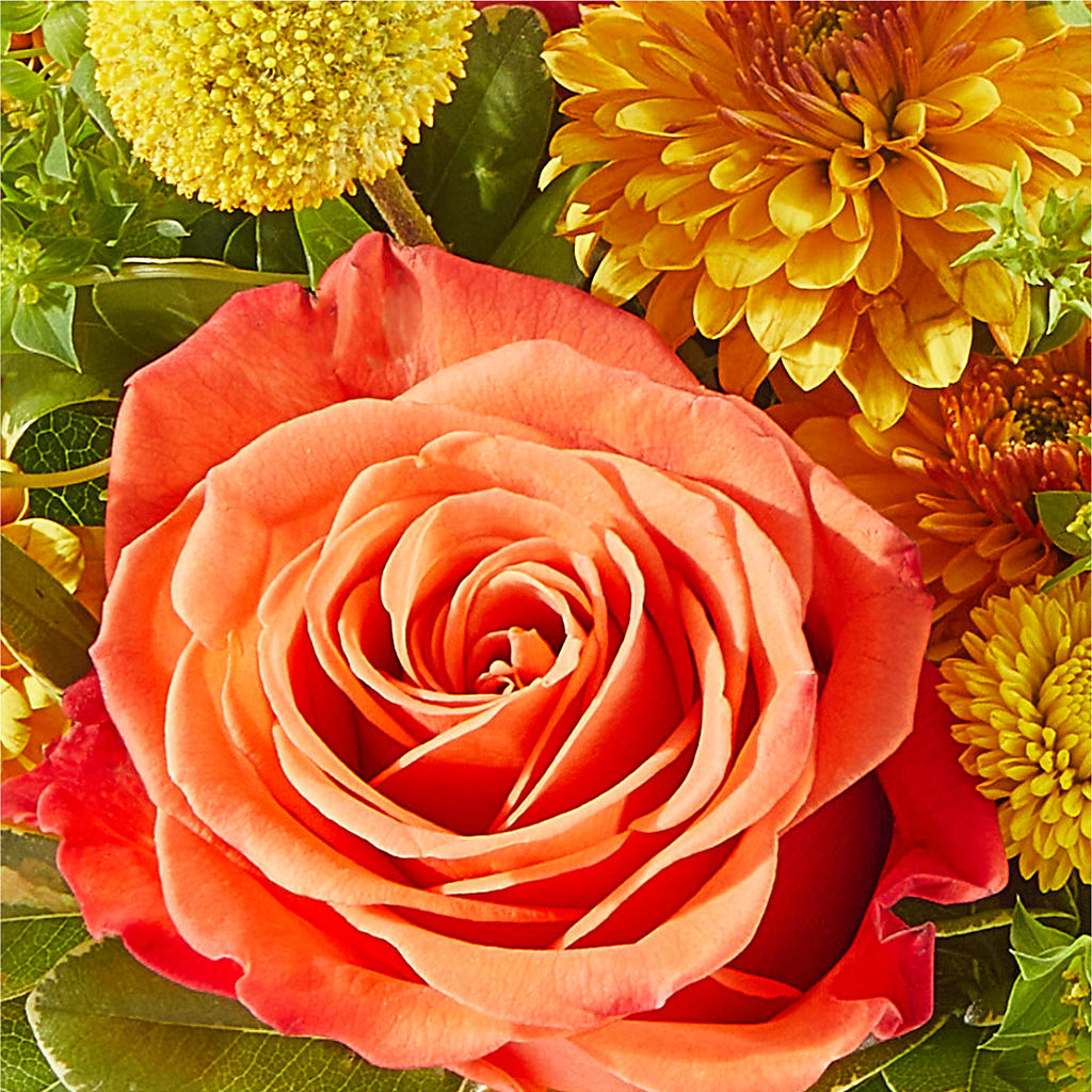 Gourdgeous Pumpkin –  Nacogdoches Floral Company, Nacogdoches TX