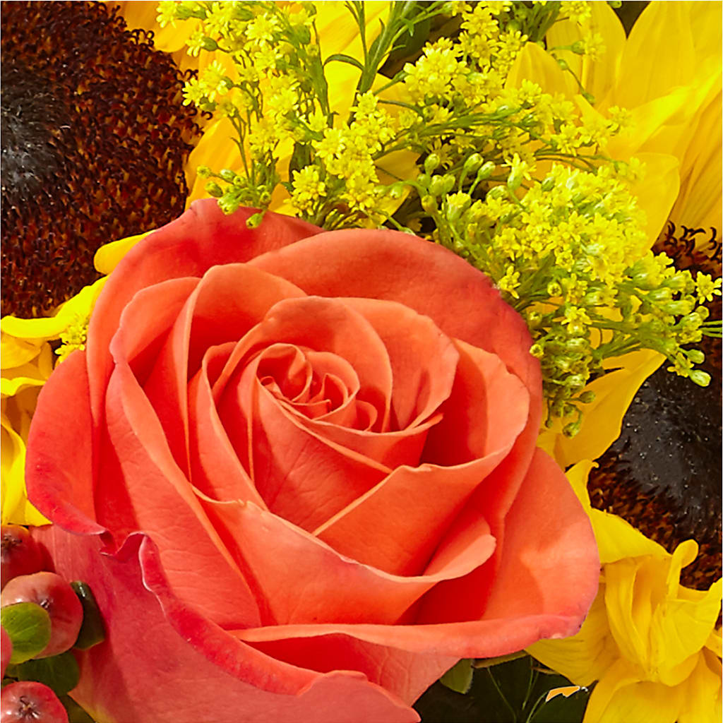 Pick of the Patch Pumpkin Bouquet –  Nacogdoches Floral Company, Nacogdoches TX