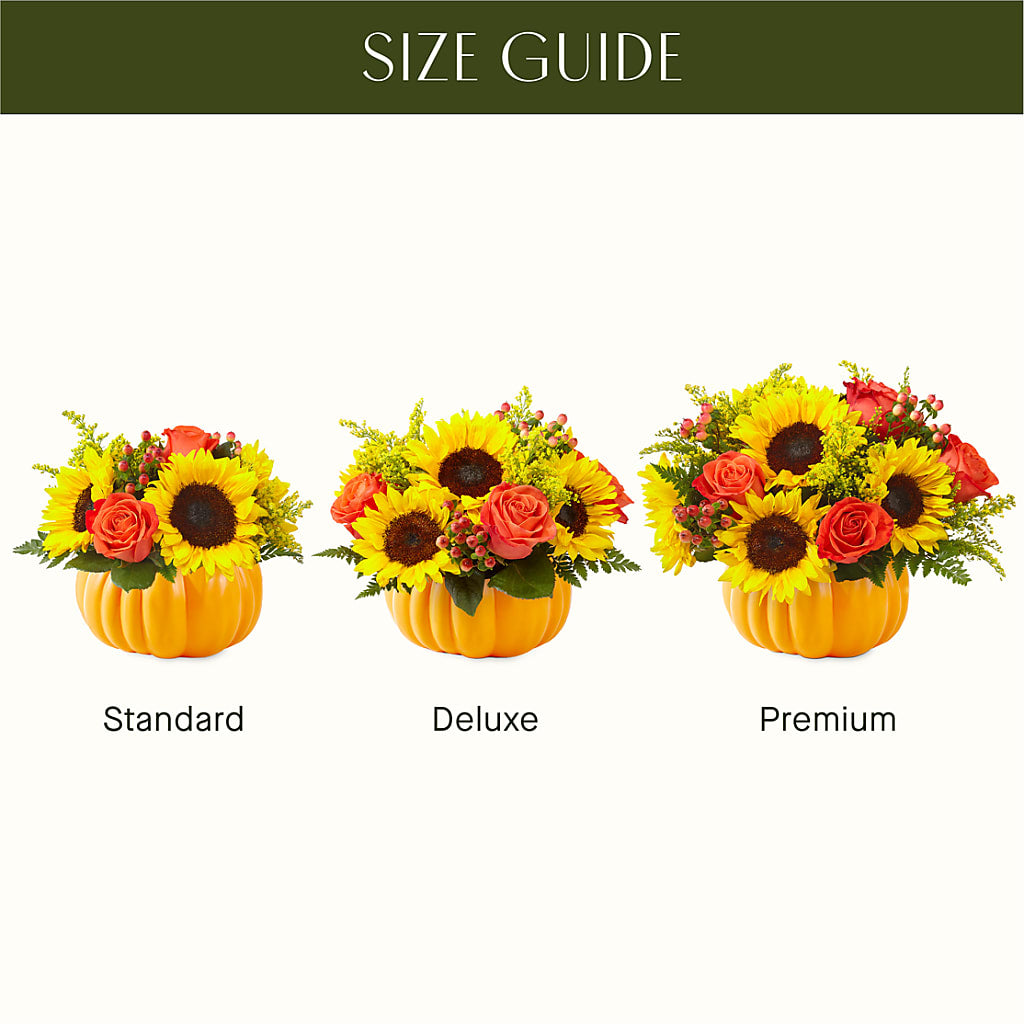 Pick of the Patch Pumpkin Bouquet –  Nacogdoches Floral Company, Nacogdoches TX