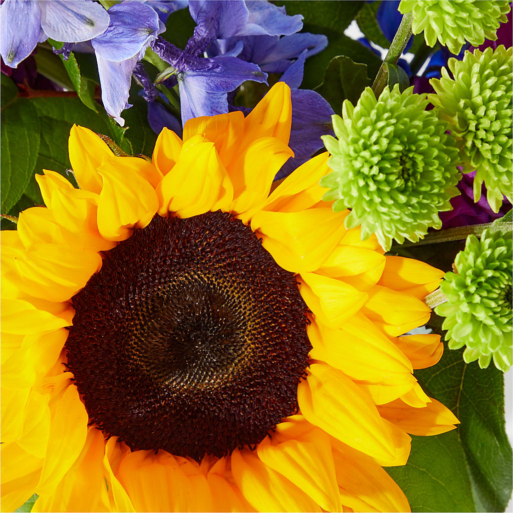 Catching Rays Bouquet –  Nacogdoches Floral Company, Nacogdoches TX