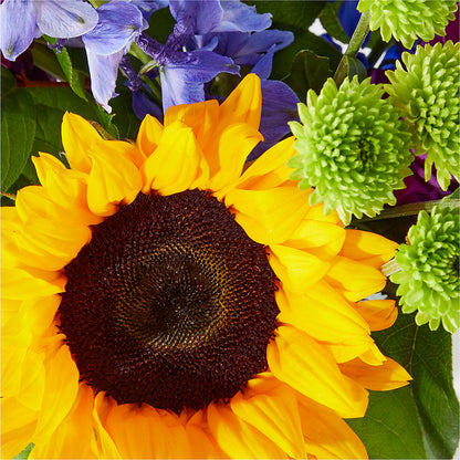 Catching Rays Bouquet –  Nacogdoches Floral Company, Nacogdoches TX