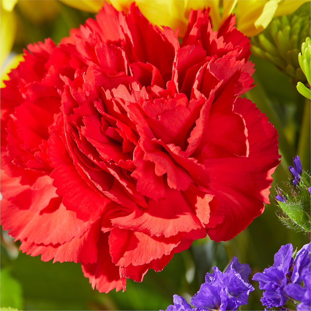 Brighter Days Bouquet –  Nacogdoches Floral Company, Nacogdoches TX