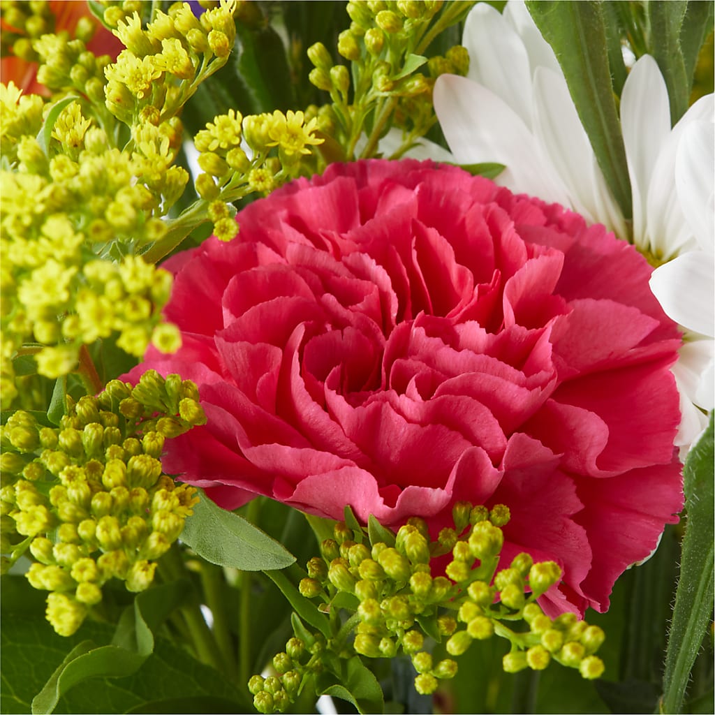 Oopsie Daisy Bouquet –  Nacogdoches Floral Company, Nacogdoches TX