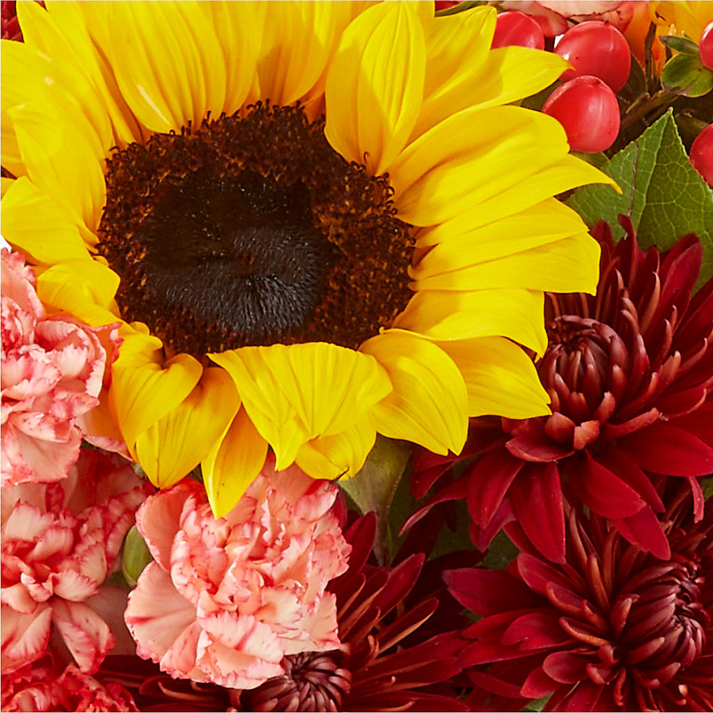 Fresh Cider Bouquet –  Nacogdoches Floral Company, Nacogdoches TX