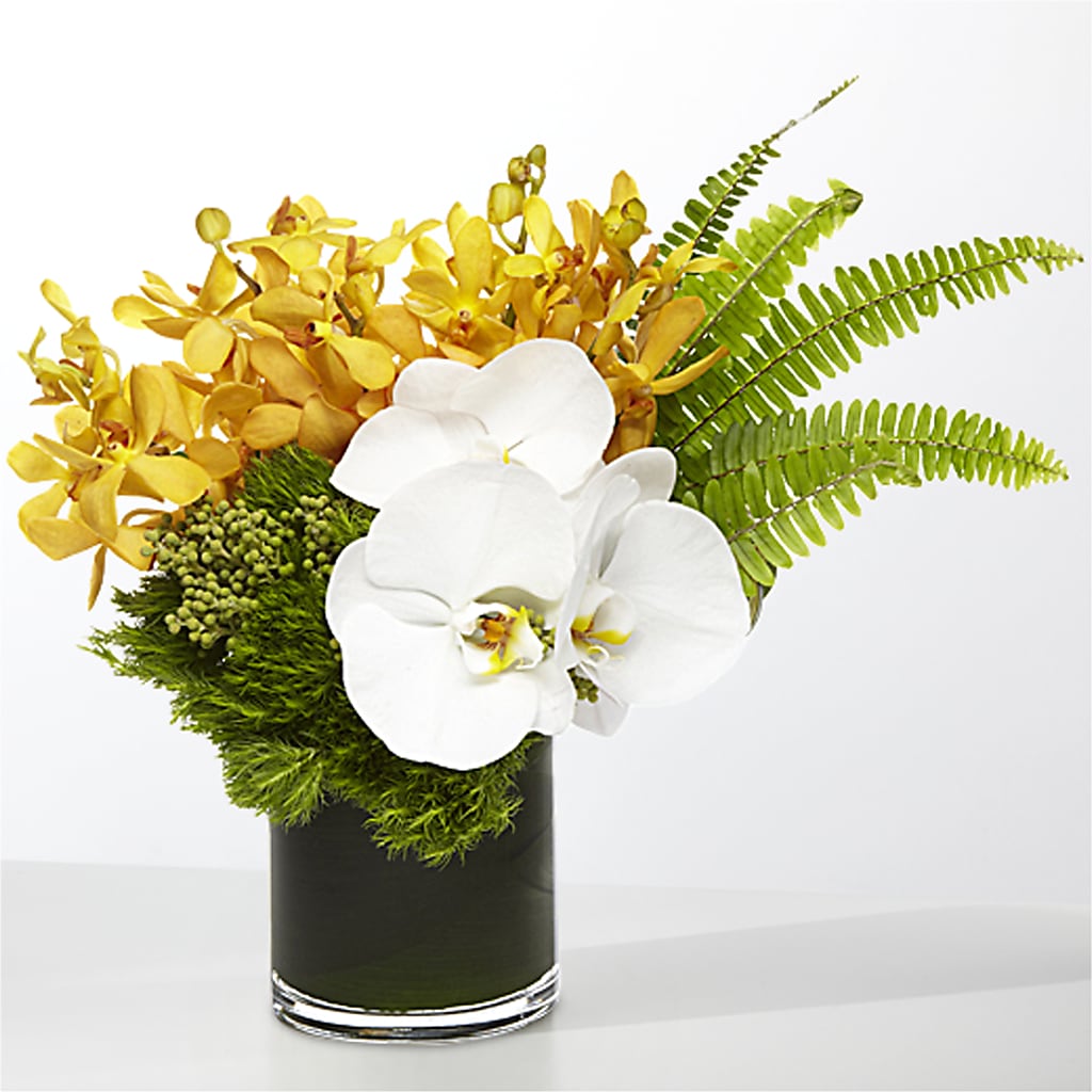 The Tropics –  Nacogdoches Floral Company, Nacogdoches TX