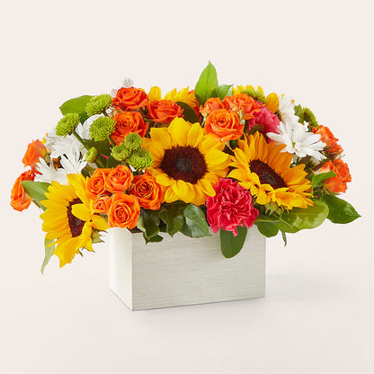 Sun-drenched Blooms Box Bouquet –  Nacogdoches Floral Company, Nacogdoches TX