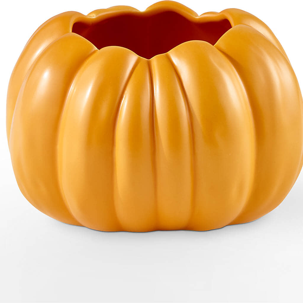 Golden Gourd Pumpkin Bouquet –  Nacogdoches Floral Company, Nacogdoches TX