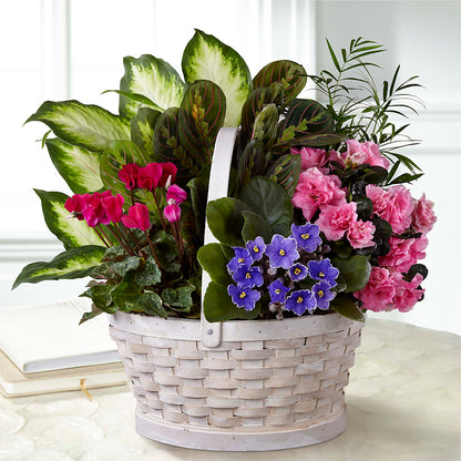Peaceful Garden Planter –  Nacogdoches Floral Company, Nacogdoches TX